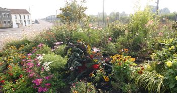 La semaine sans pesticides : zoom sur la commune de Feignies semaine-sans-pesticides-feignies