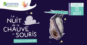 La Nuit de la Chauve-Souris 2018 Nuit de la chauve souris